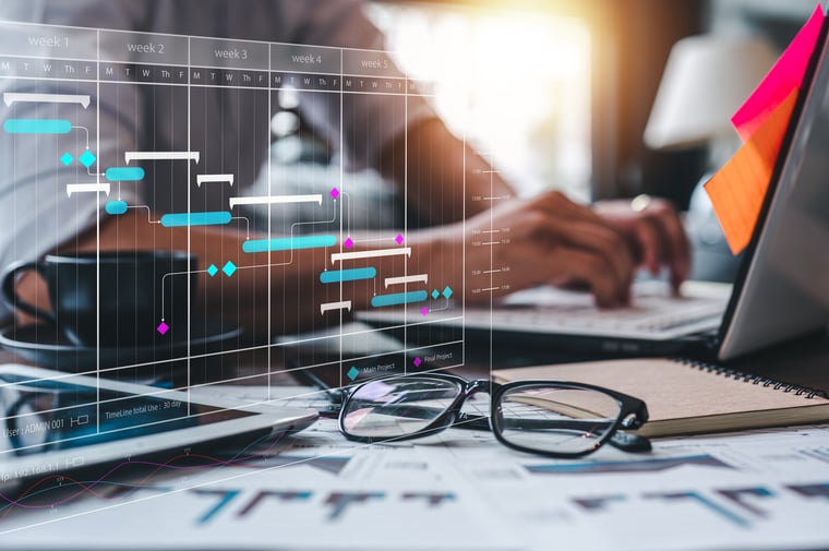 Post-Go-Live Project Management: Transition, Hypercare, and Optimization