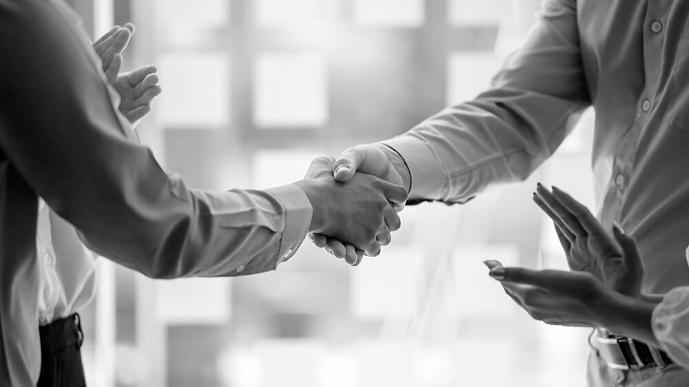 Two professional shaking hands.